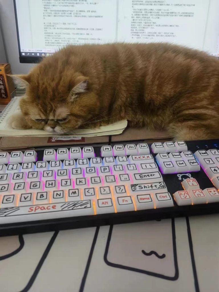 Cat mechanical keyboard scribble letters key caps